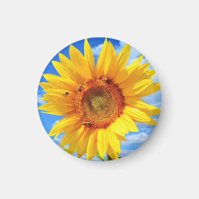 Yellow Sunflower and Bees on Blue Sky - Summer  Magnet (Front)