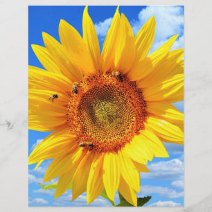 Yellow Sunflower and Bees Summer Letterhead