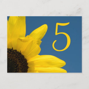 Yellow Sunflower and Blue Sky Table Number Postcard