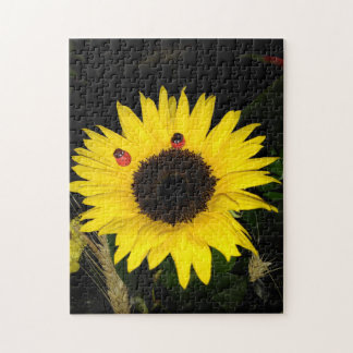 Yellow Sunflower And Two Ladybugs Jigsaw Puzzle