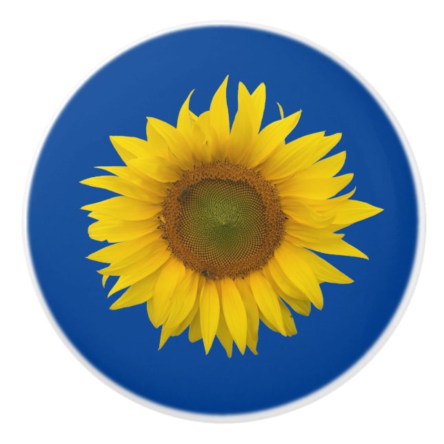 Yellow Sunflower Bloom Elegant Blue Ceramic Knob (Front)