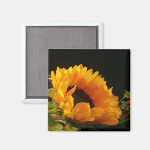 Yellow Sunflower Blossom Magnet