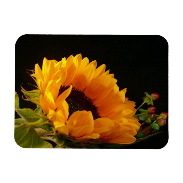 Yellow Sunflower Blossom Magnet (Horizontal)