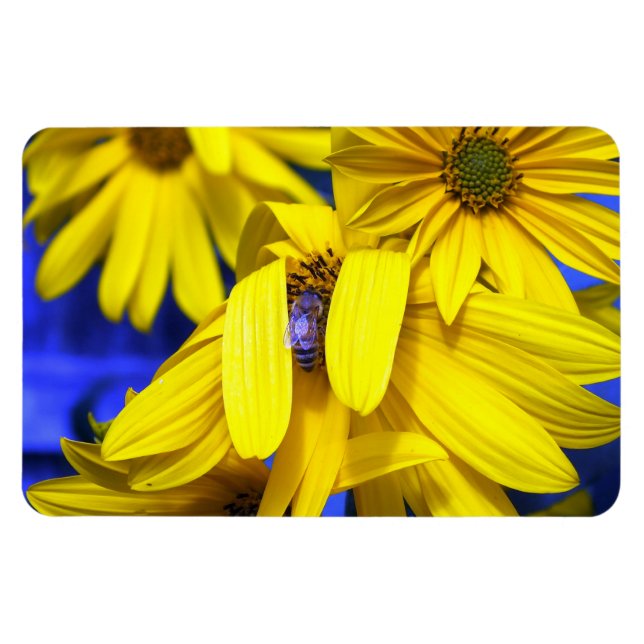 Yellow Sunflower Blue Bee Magnet (Horizontal)