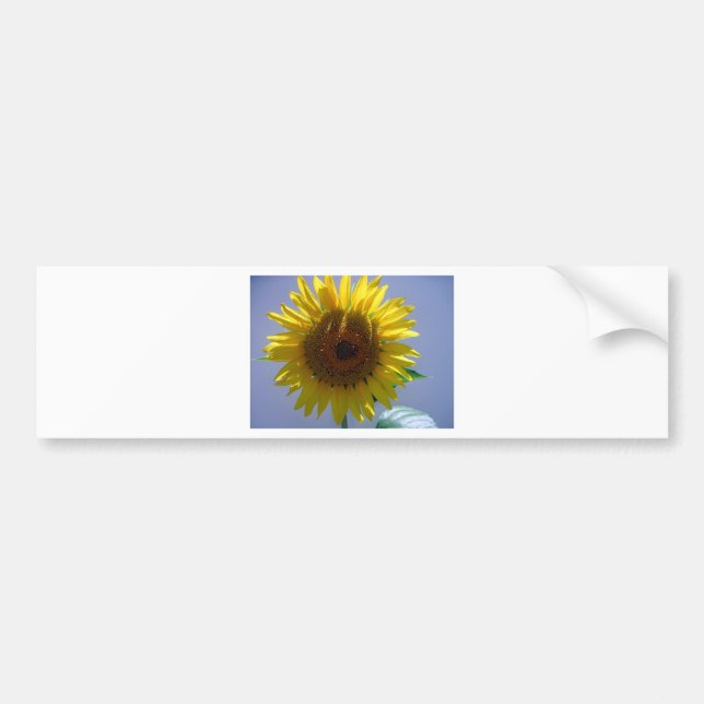 Yellow Sunflower Bumper Sticker (Front)