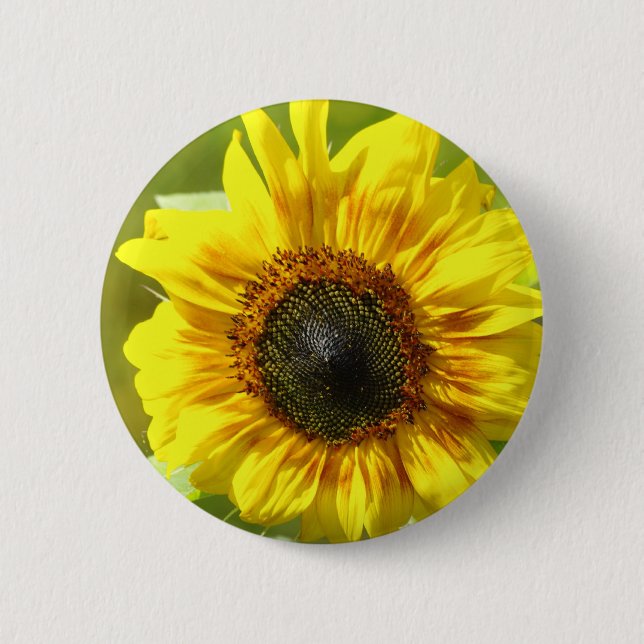 Yellow Sunflower Button (Front)