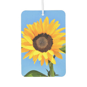 Yellow Sunflower Car Air Fresheners