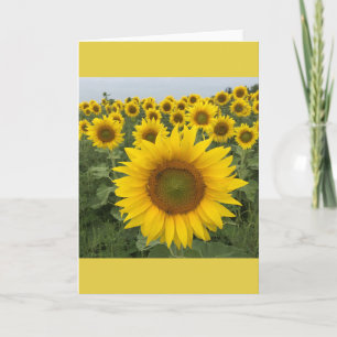 Yellow Sunflower Card
