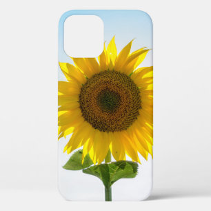 Yellow sunflower iPhone 12 case