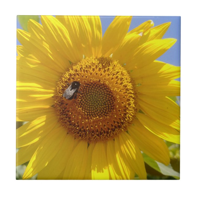 Yellow Sunflower Ceramic Tile (Front)