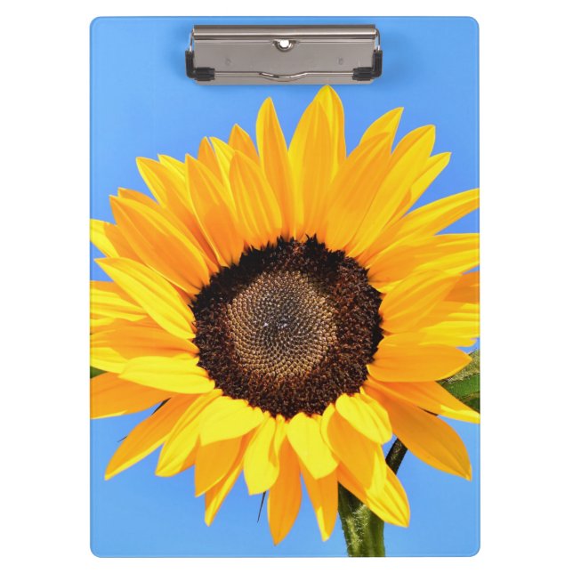 Yellow Sunflower Clipboard (Front)