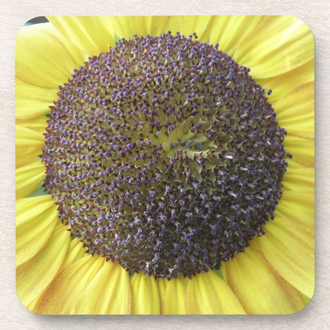Yellow Sunflower Cork Coaster (Front)