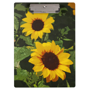 Yellow sunflower design clipboard
