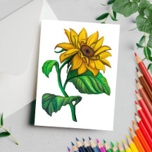 Yellow Sunflower Drawing Coloured Pencil