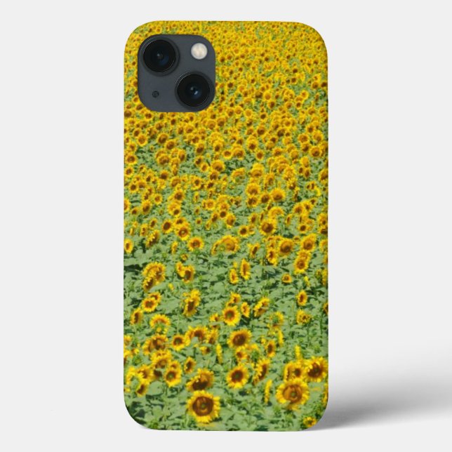 Yellow Sunflower Field Case-Mate iPhone Case (Back)