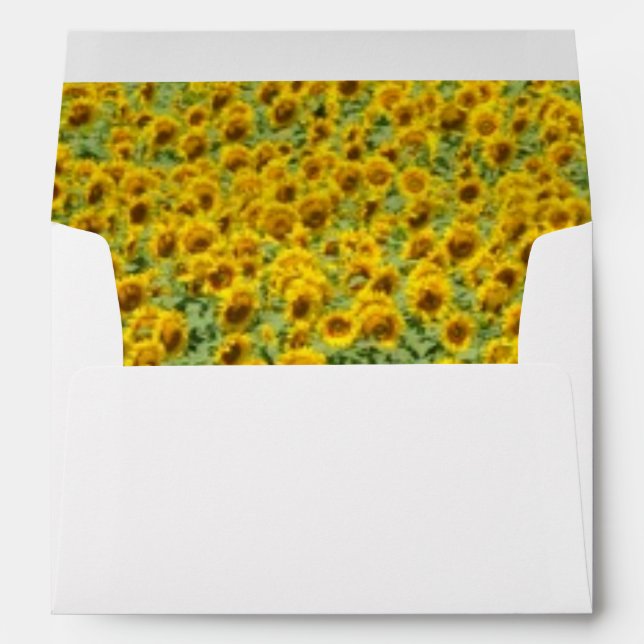 Yellow Sunflower Field Envelopes (Back (Bottom))