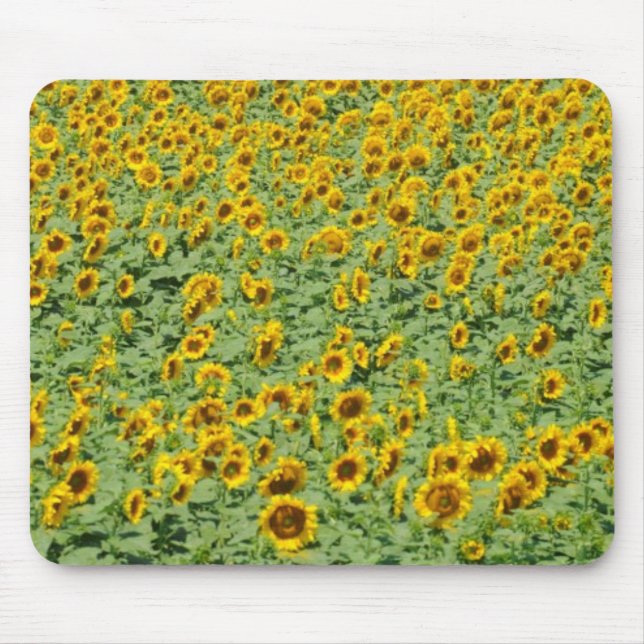 Yellow Sunflower Field Mouse Pad (Front)