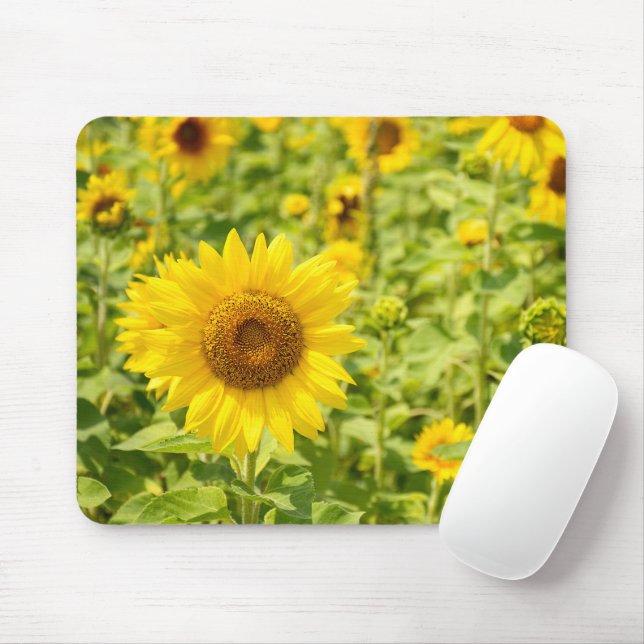 Yellow Sunflower Field Mouse Pad (With Mouse)