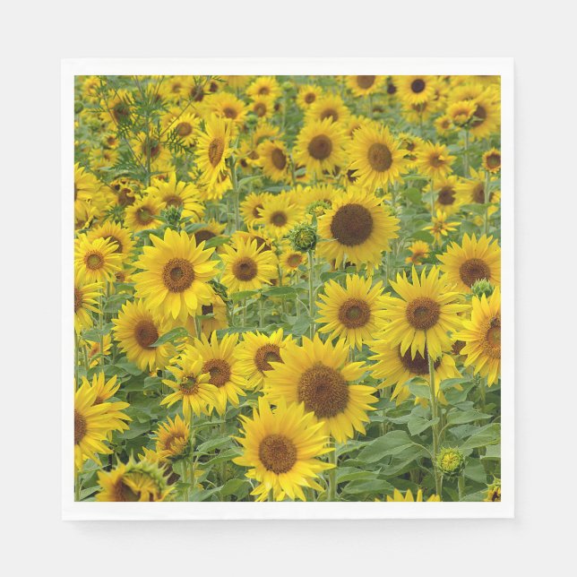 Yellow Sunflower Field Napkin (Front)
