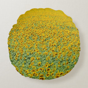 Yellow Sunflower Field Round Cushion