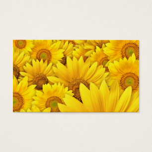 Yellow Sunflower Fields