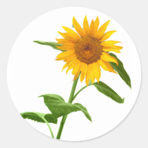 Yellow Sunflower Floral Stickers