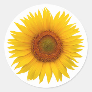 Yellow Sunflower Flower Envelope Seal Stickers
