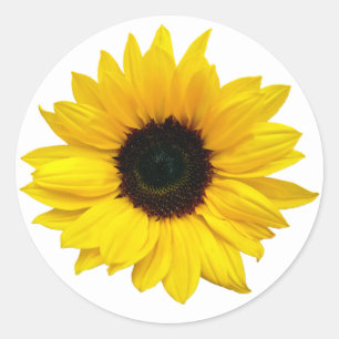 Yellow Sunflower Flower Envelope Seal Stickers