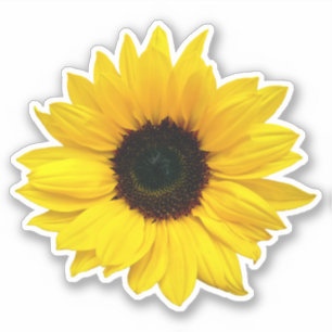 Yellow Sunflower Flower Kiss-Cut Sticker
