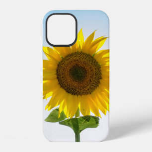 Yellow sunflower iPhone 12 case