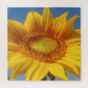 Yellow Sunflower Jigsaw Puzzle