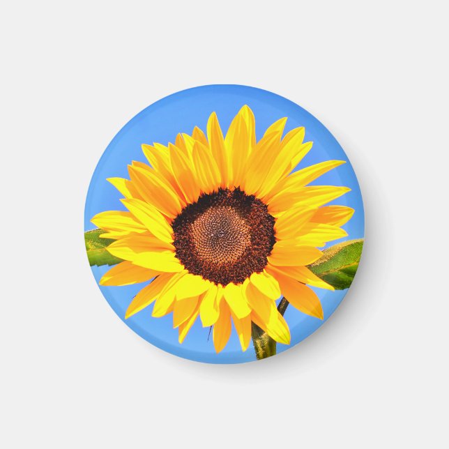 Yellow Sunflower Magnet (Front)