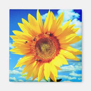 Yellow Sunflower Magnet