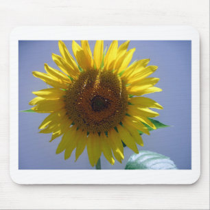 Yellow Sunflower Mouse Pad
