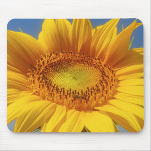 Yellow Sunflower Mouse Pad