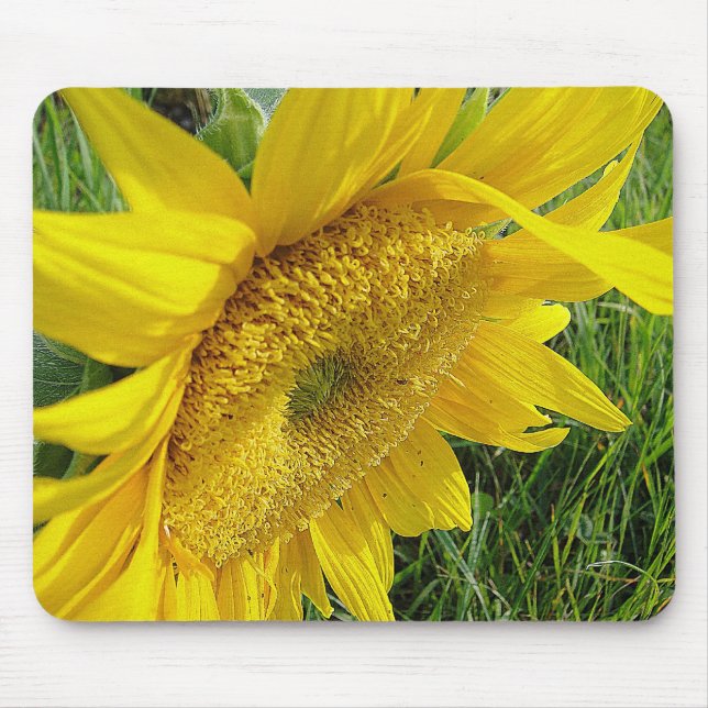 Yellow sunflower mousepad (Front)
