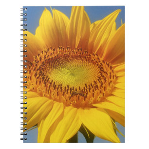 Yellow Sunflower Notebook