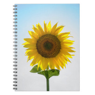 Yellow sunflower notebook