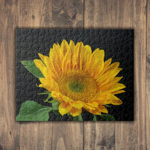 Yellow Sunflower on Black Background Jigsaw Puzzle