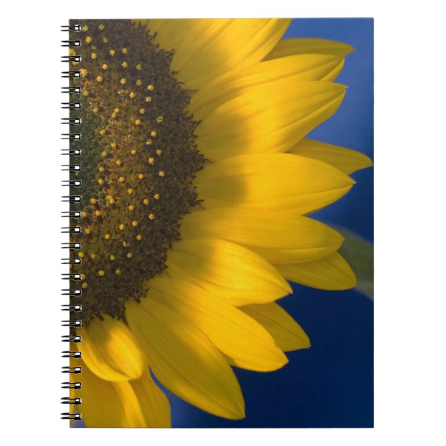 Yellow Sunflower on Blue Notebook (Front)