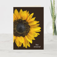 yellow sunflower on dark brown birthday