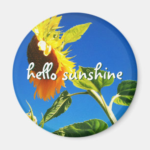 Yellow Sunflower Photo Hello Sunshine Script Bold Magnet