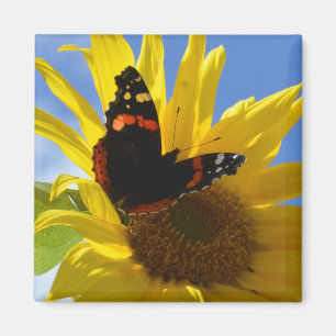 Yellow Sunflower & Red Admiral Butterfly Magnet