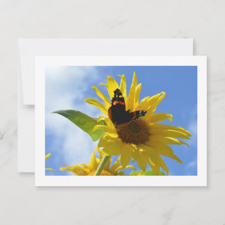 Yellow Sunflower & Red Admiral Butterfly Postcard