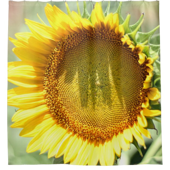 Yellow sunflower shower curtain (Front)