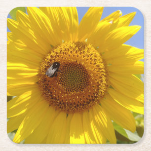 Yellow Sunflower Square Paper Coaster
