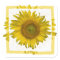 Yellow Sunflower 