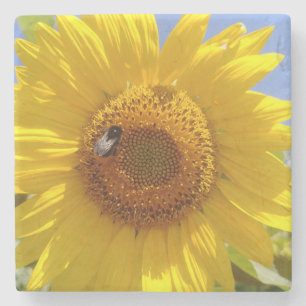 Yellow Sunflower Stone Coaster
