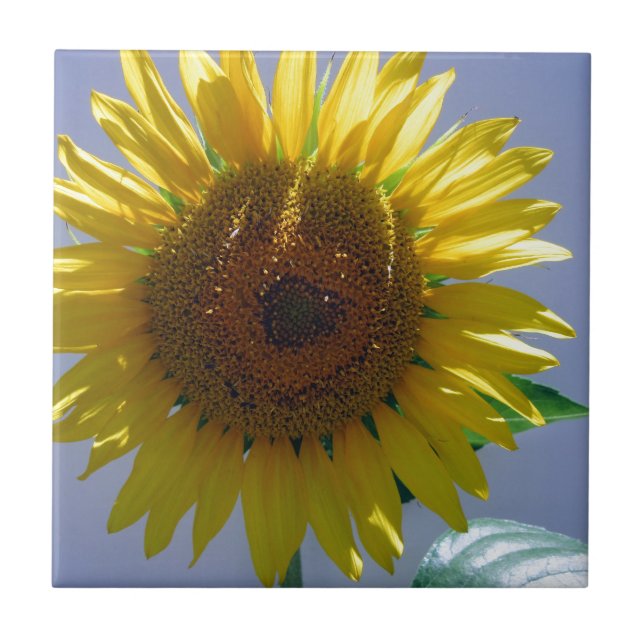 Yellow Sunflower Tile (Front)