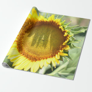 Yellow sunflower wrapping paper